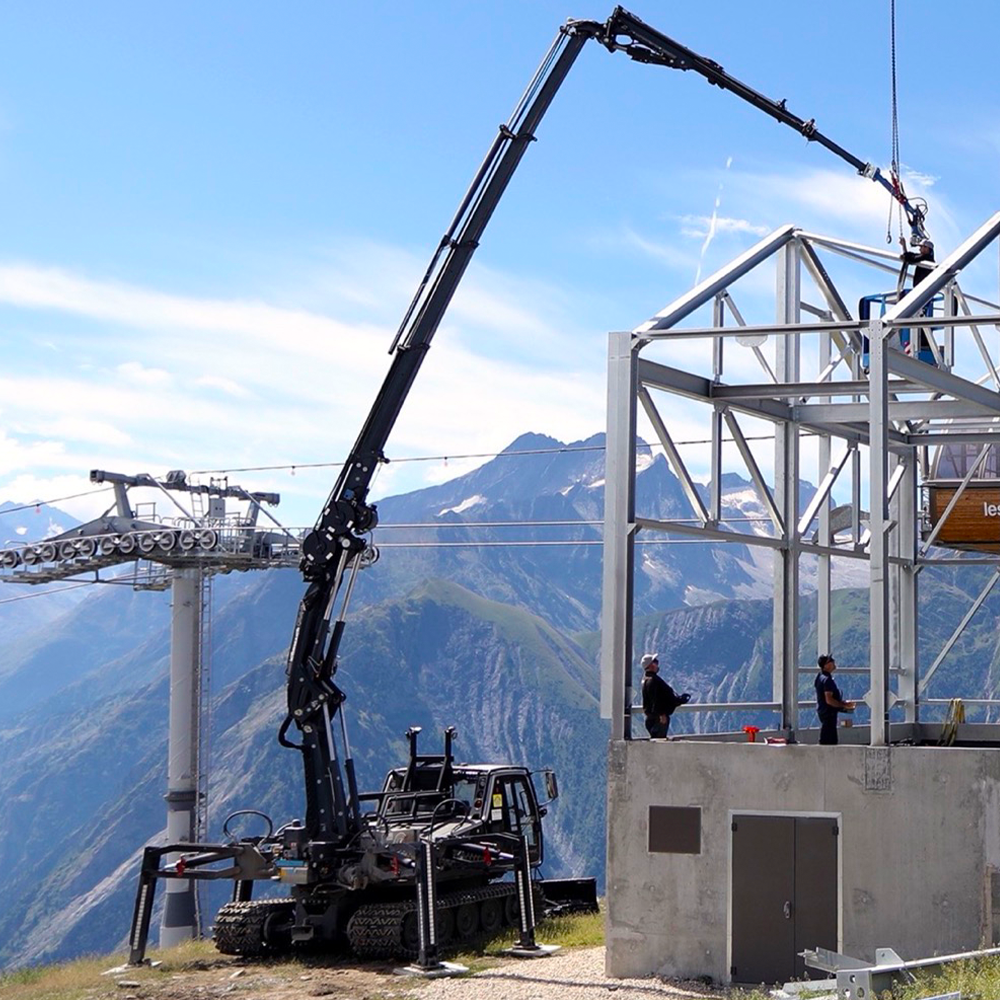 Dameuse grue altitude